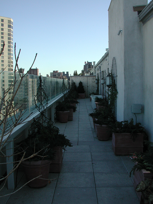 duplex36