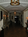 duplex87