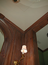 duplex81